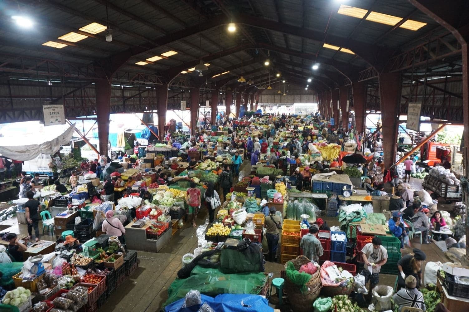 La Trinidad Trading Post: The Best Place to Buy Fresh Benguet Vegetables